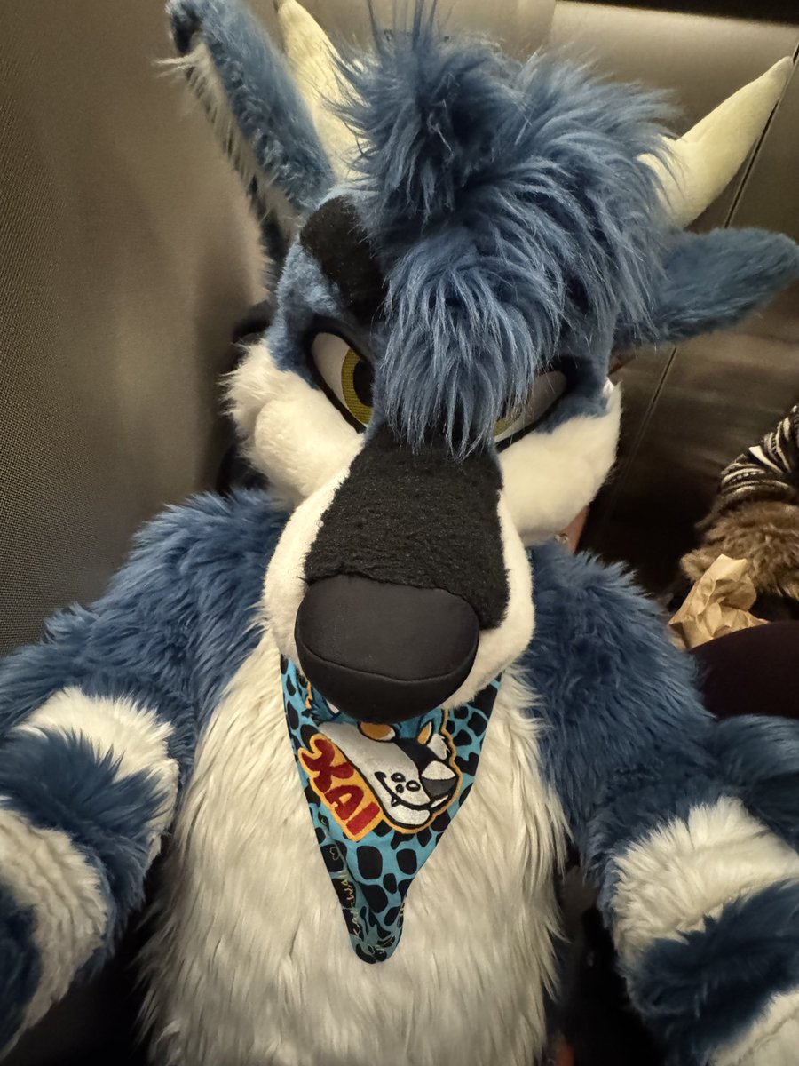 Shut the fuck up! Shut the fuck up! Shut up.
What are you doing? What the fuck are you doing? I have to go right now. I'm getting calls. I have to catch a flight. I'm on a tour. I'm tryna be fucking nice. You see I'm tryna be nice right now, right? You're forcing me to be bad...