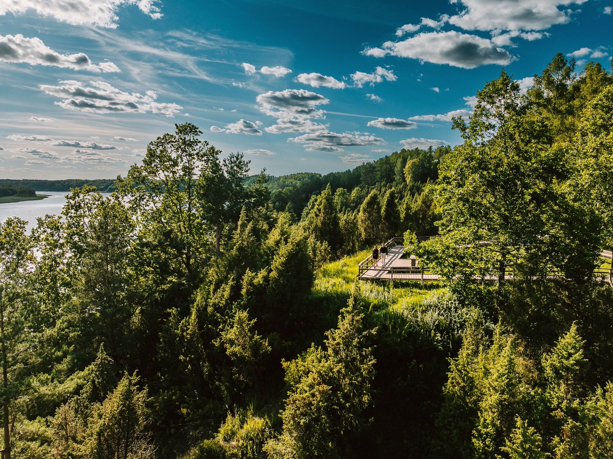NejauNet's tweet image. #arlaviskes #Lithuania #Lietuva #dronas #Mavic3 #mavic3pro #drone #vasara2025 #djimavic3pro #summer2025 #hasselblad #hasselbladdrone #kaunomarios #kadagiuslenis #junipervalley #kaunorajonas #kaunascounty