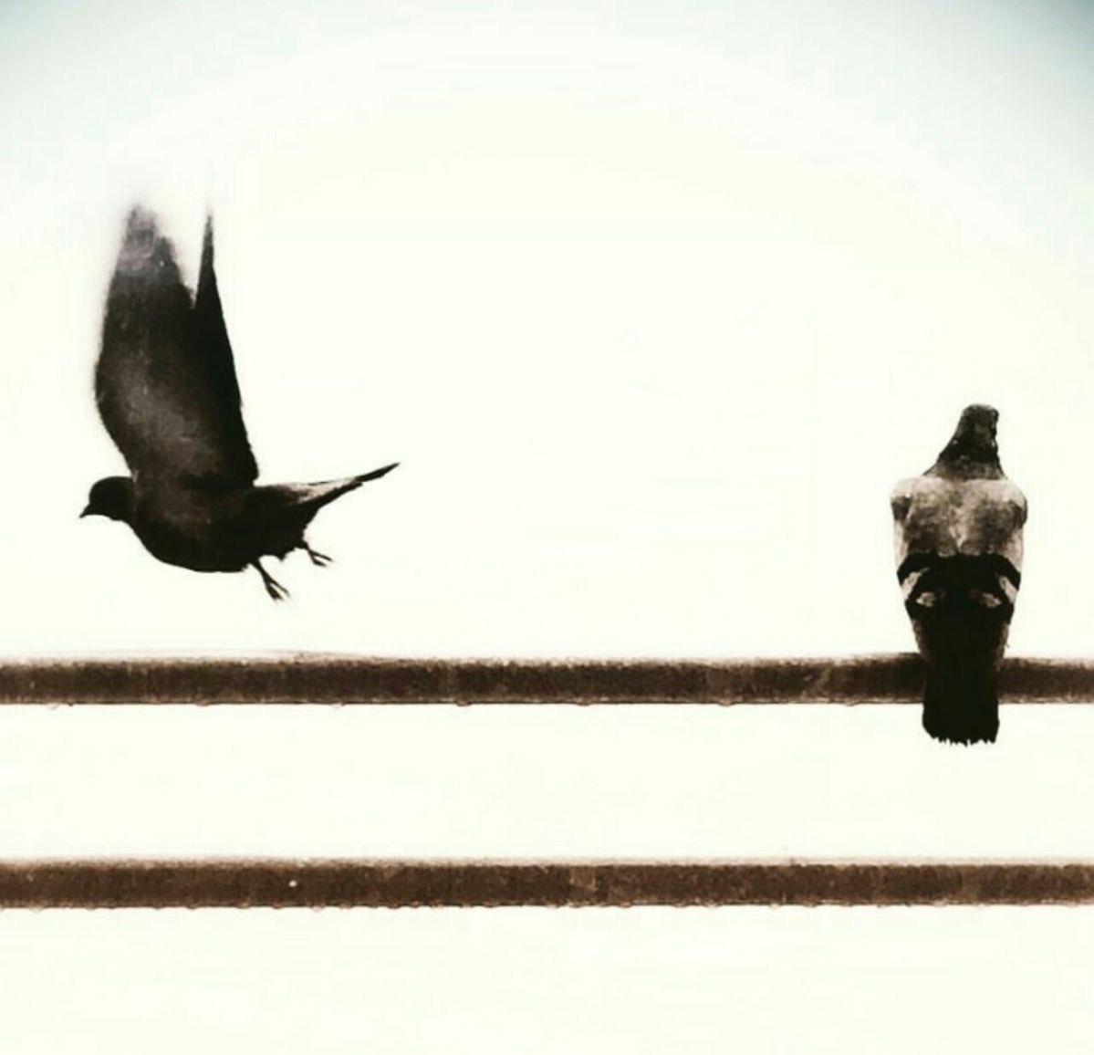 Bazen insan, kötü şeyler olmasın diye en güzel ihtimalden bile kaçar..
Ve bazı insanlar iki kere bulabileceğiniz insanlardan değildir . .