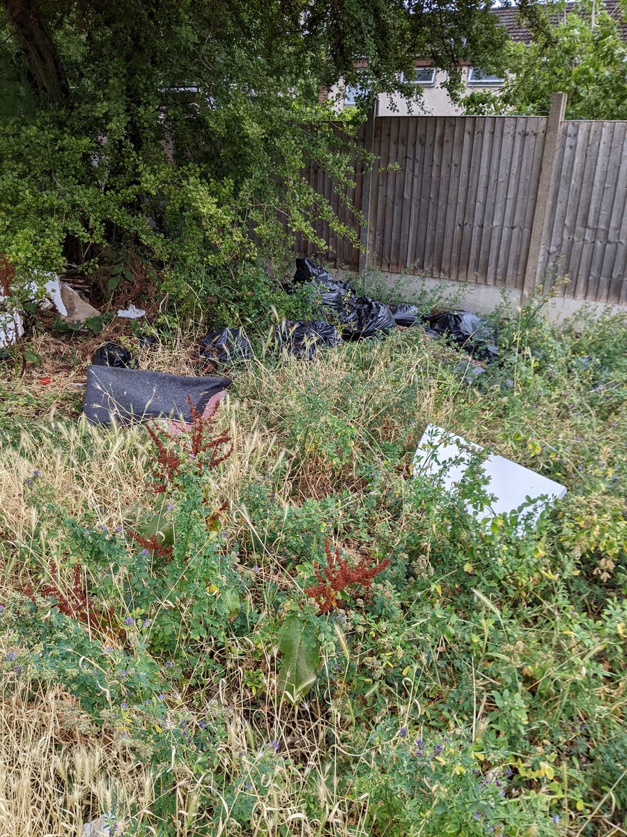 And again for removal please Towcester Croft B36 <a href="/BCC_Help/">BCC Customer Service</a> <a href="/CllrMajid/">Cllr Majid Mahmood</a>