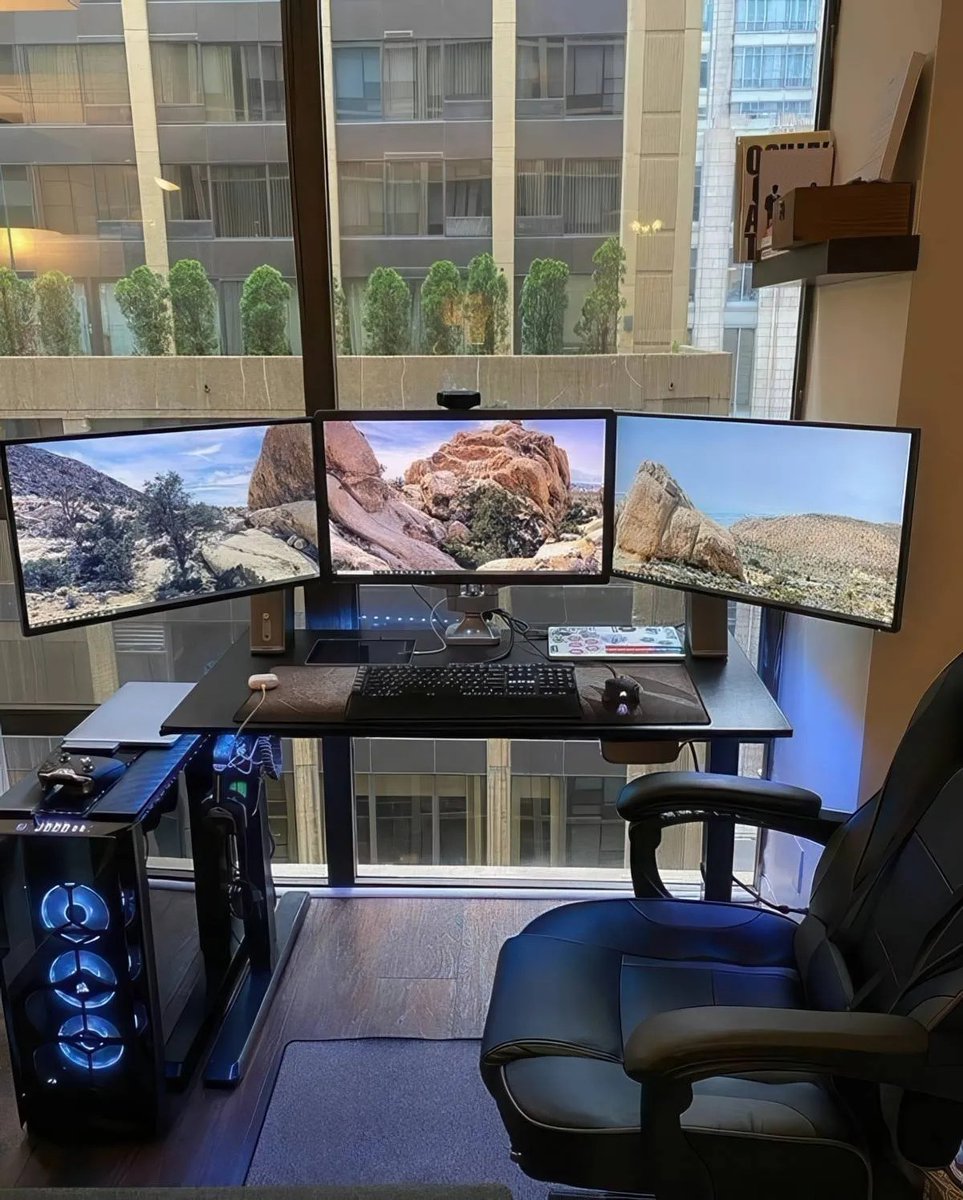 Mijn uitzicht van vandaag.