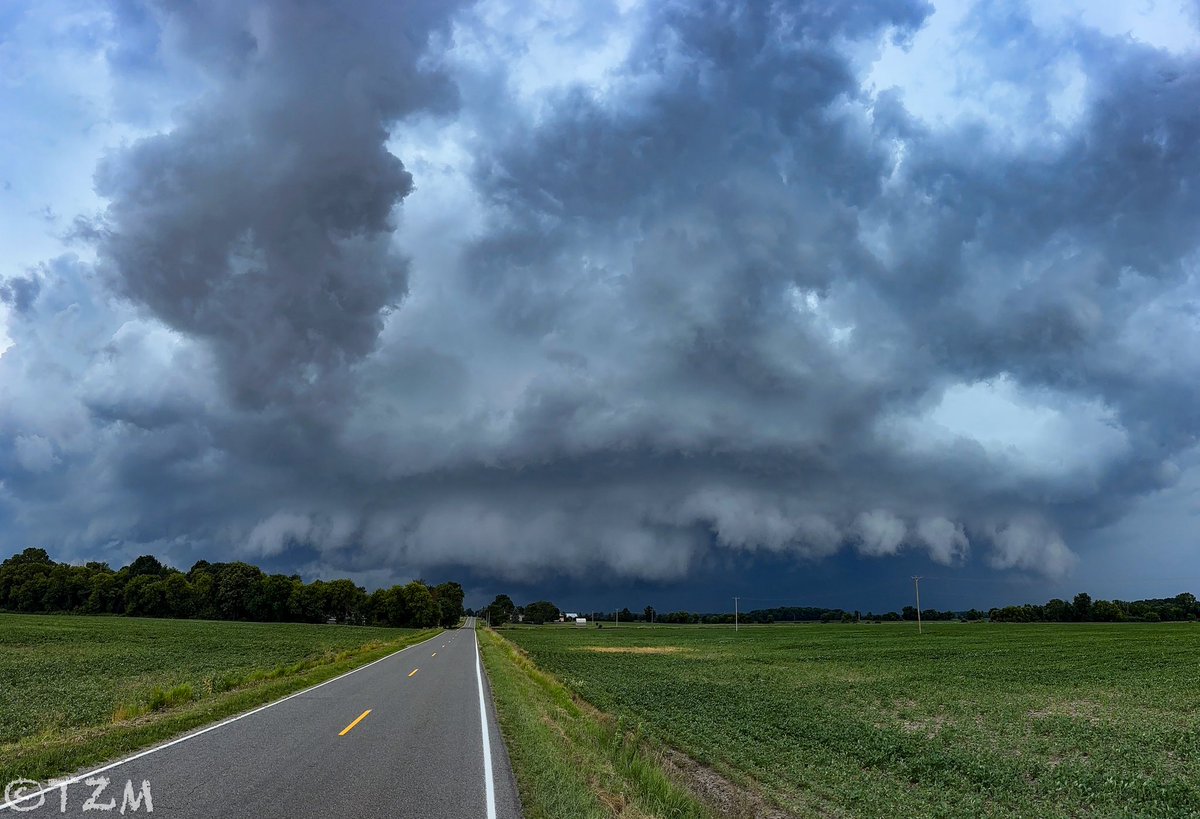 Incredible shelf near Ovid, MI!