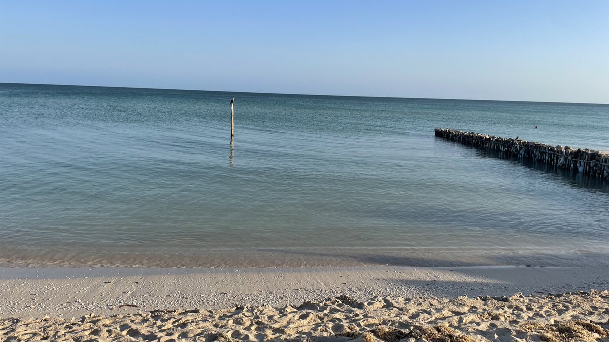 Naini is 𝐈𝐂𝐎𝐍𝐈𝐊 tweet media