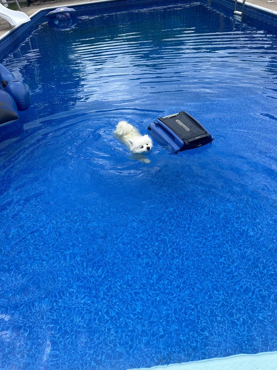 He decided to take a dip