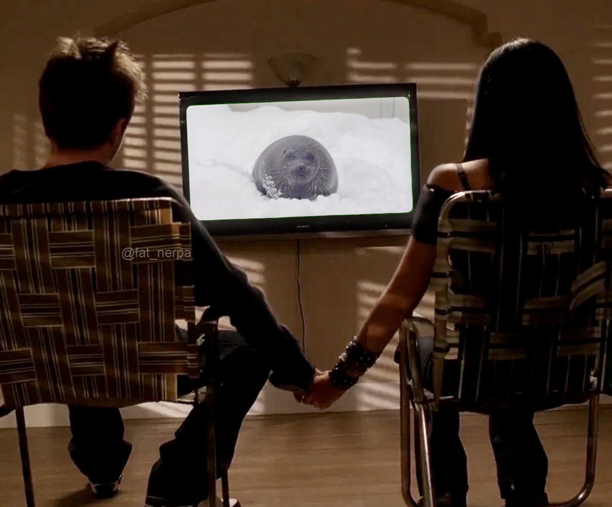 amy🦭 (@fat_nerpa) on Twitter photo 