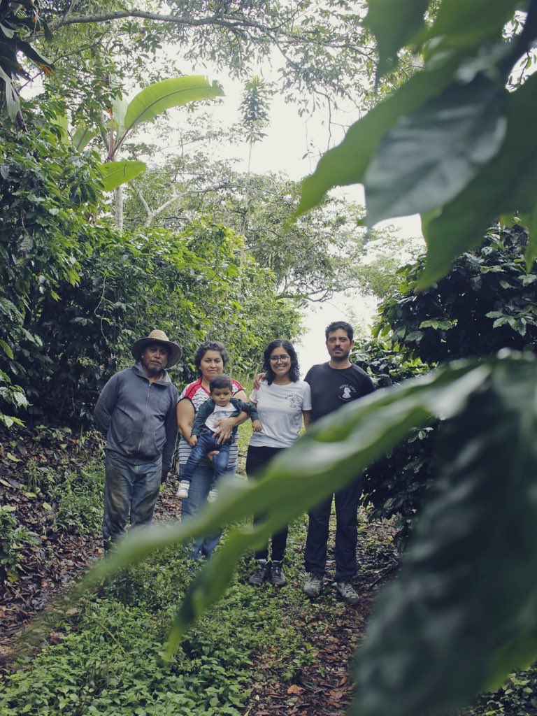 JacintoVallarta's tweet photo. Nosotros (mi familia) somos los que estamos detrás del café tostado que les ofrezco. 

¡Vivan los pequeños productores de café mexicano! https://t.co/DLOsjwWNyQ