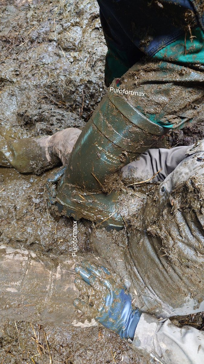 purofortmax's tweet photo. Play a little in manure 💩🐮

#dunlop #purofort #purofortplus #purofortthermo #kuhstall #manure https://t.co/MDgxq1yNXu