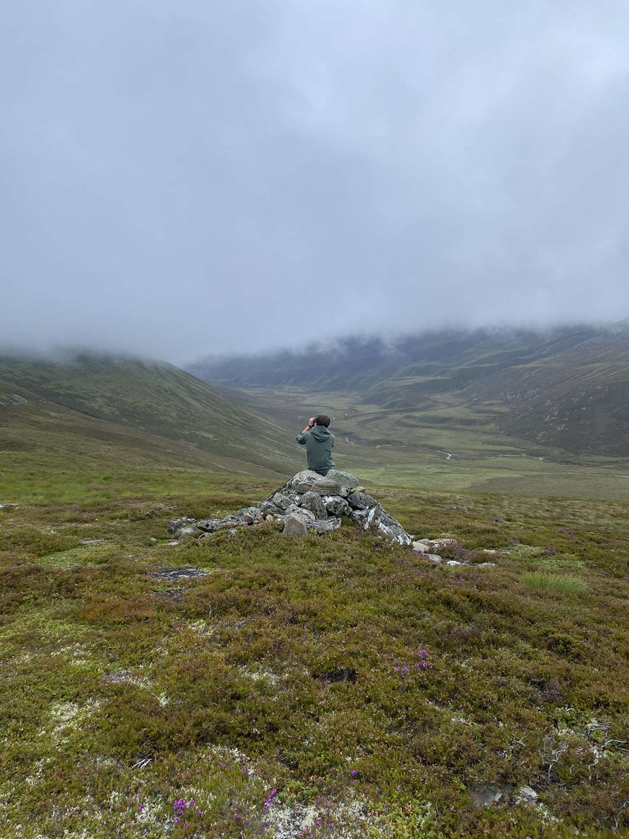 Elliott81758817's tweet image. Came back from my Gold Dofe expedition in the Cairngorms yesterday. Managed to see a Crested Tit which was a UK lifer for me! Also, Osprey, a pair of Black-throated Divers, Crossbills, Red Grouse, Golden Plover, Snow Buntings, Dippers, and more!