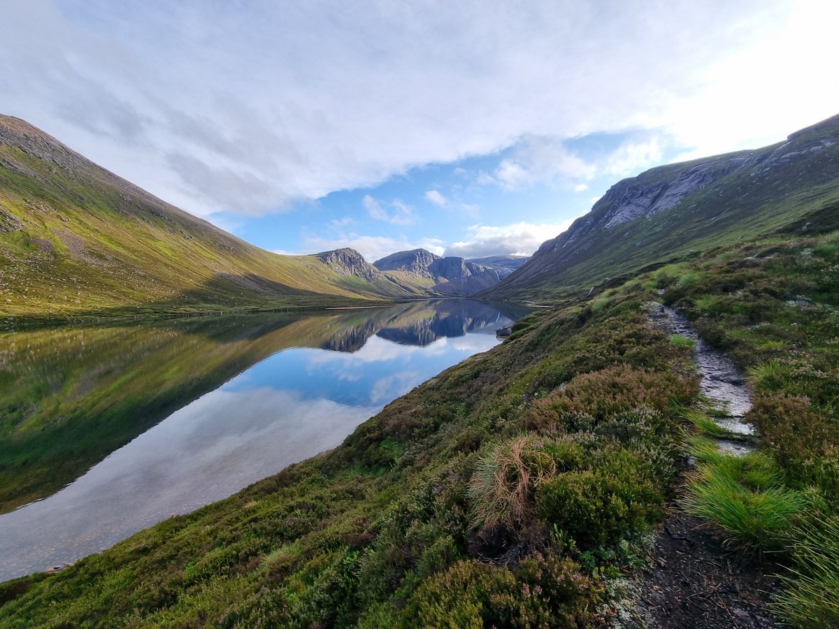 Elliott81758817's tweet image. Came back from my Gold Dofe expedition in the Cairngorms yesterday. Managed to see a Crested Tit which was a UK lifer for me! Also, Osprey, a pair of Black-throated Divers, Crossbills, Red Grouse, Golden Plover, Snow Buntings, Dippers, and more!