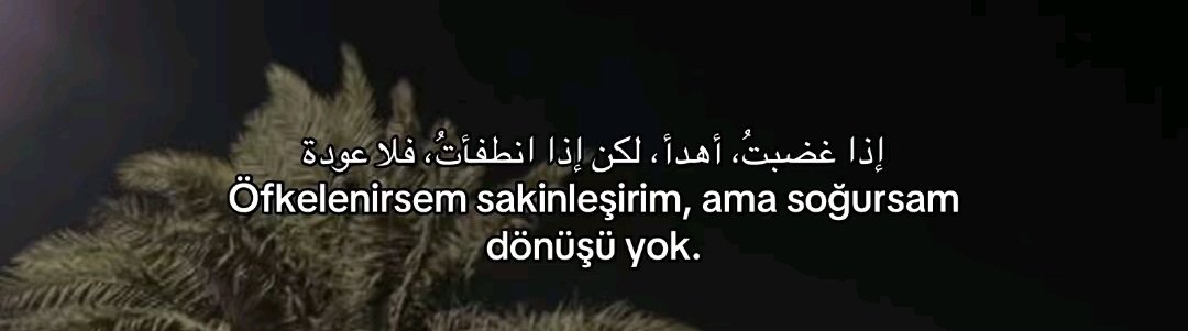 sinem (@kimbusnem) on Twitter photo 