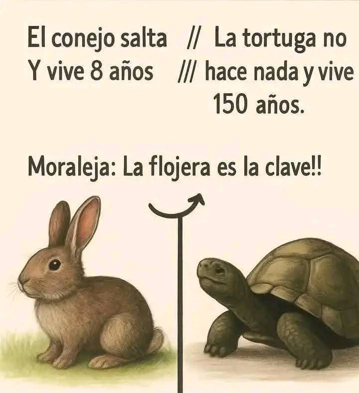 VAL DIAZ tweet media