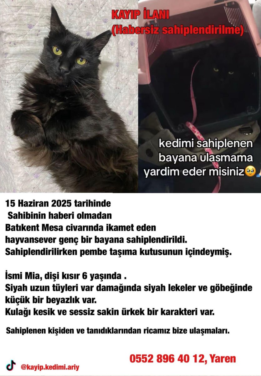 <a href="/saphionic/">uniqhorn 🐾 Turşu usta</a> <a href="/elifnh_98/">Elifnh</a>