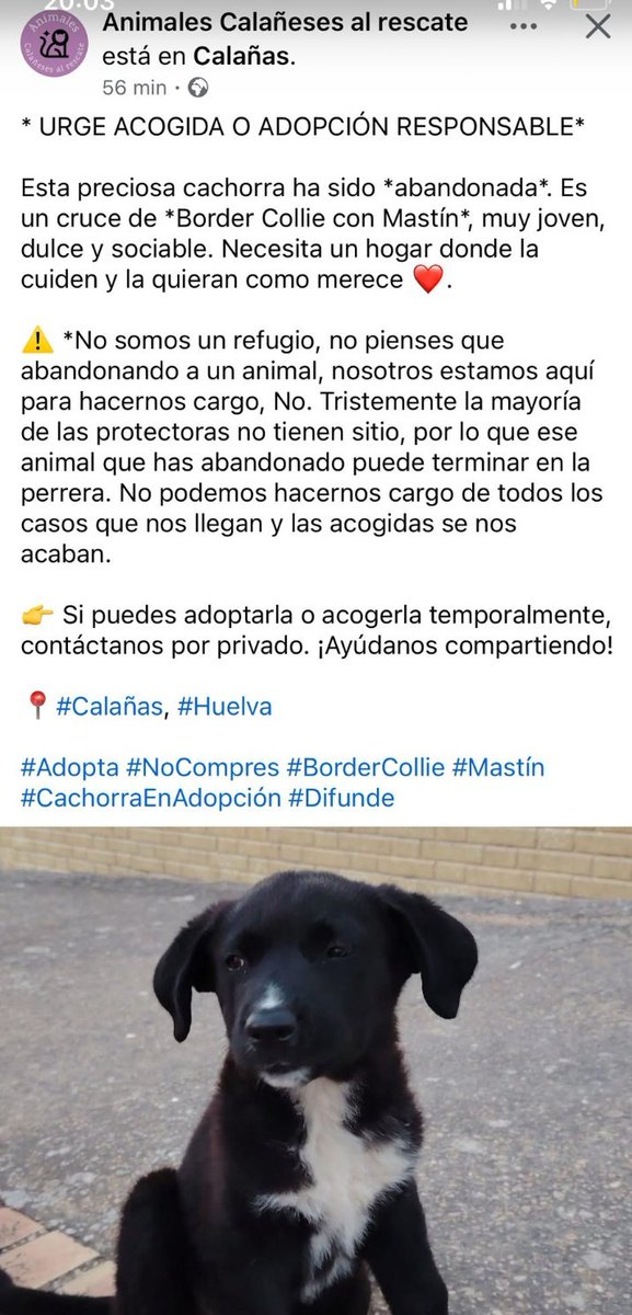 DENTACAN's tweet photo. A quién le pueda interesar https://t.co/QEZSZG8aBt