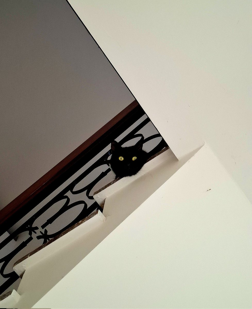 Non è De Chirico, non è la bandiera di uno Stato canaglia, è solo l'atroce rappresentazione della realtà