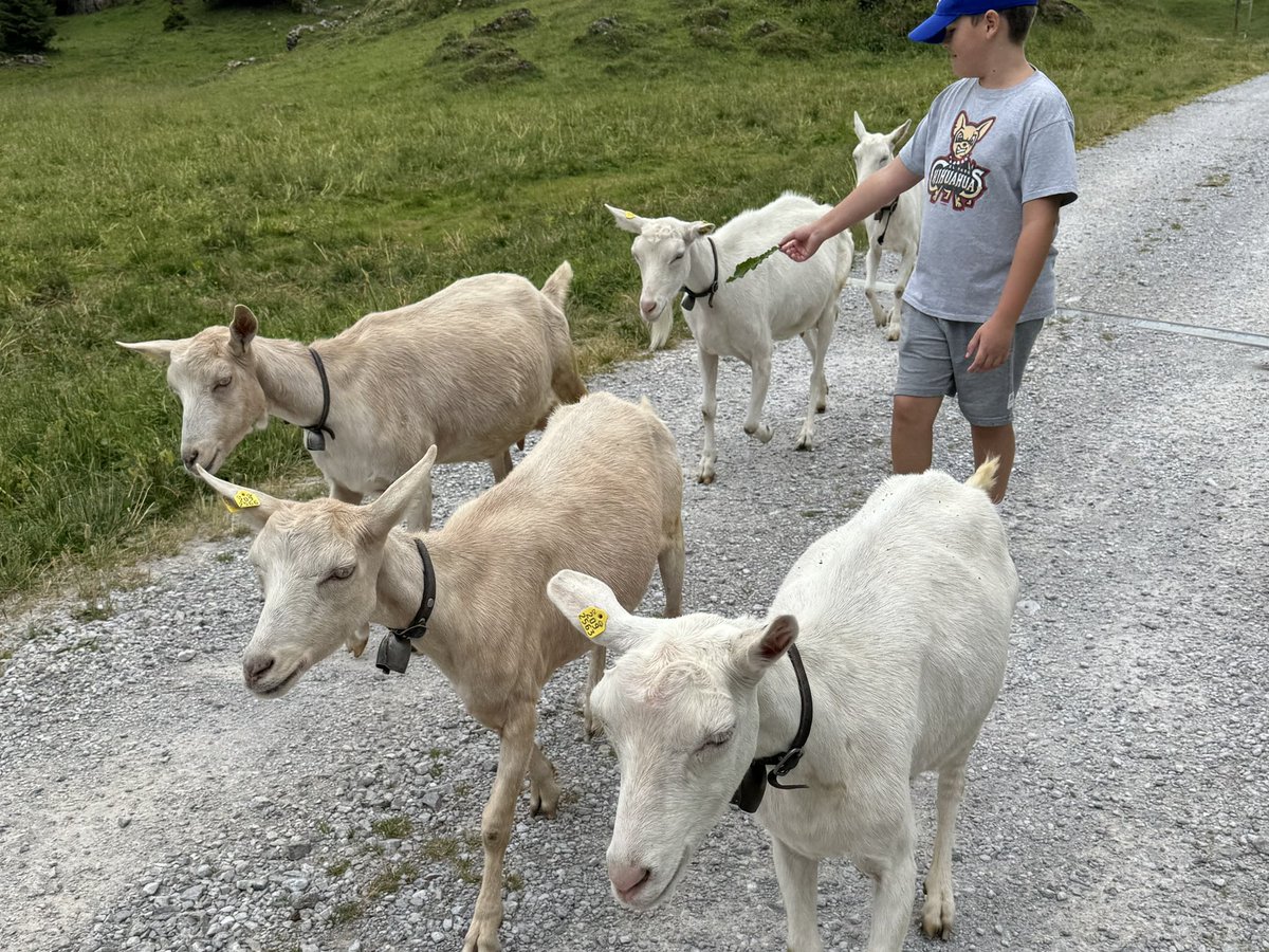 SwissAmbIL's tweet image. Back in Switzerland 🇨🇭 for a few days for key meetings in Berne & to explore the country: today, hiking in the mountains above the Diemtigtal in my home Canton of Berne & swimming in the Seebergsee at 1,830m: pure nature & energy!