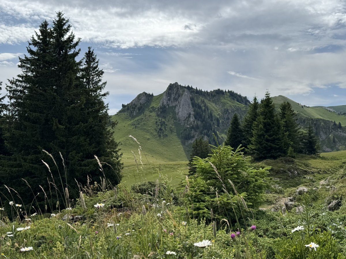 SwissAmbIL's tweet image. Back in Switzerland 🇨🇭 for a few days for key meetings in Berne & to explore the country: today, hiking in the mountains above the Diemtigtal in my home Canton of Berne & swimming in the Seebergsee at 1,830m: pure nature & energy!