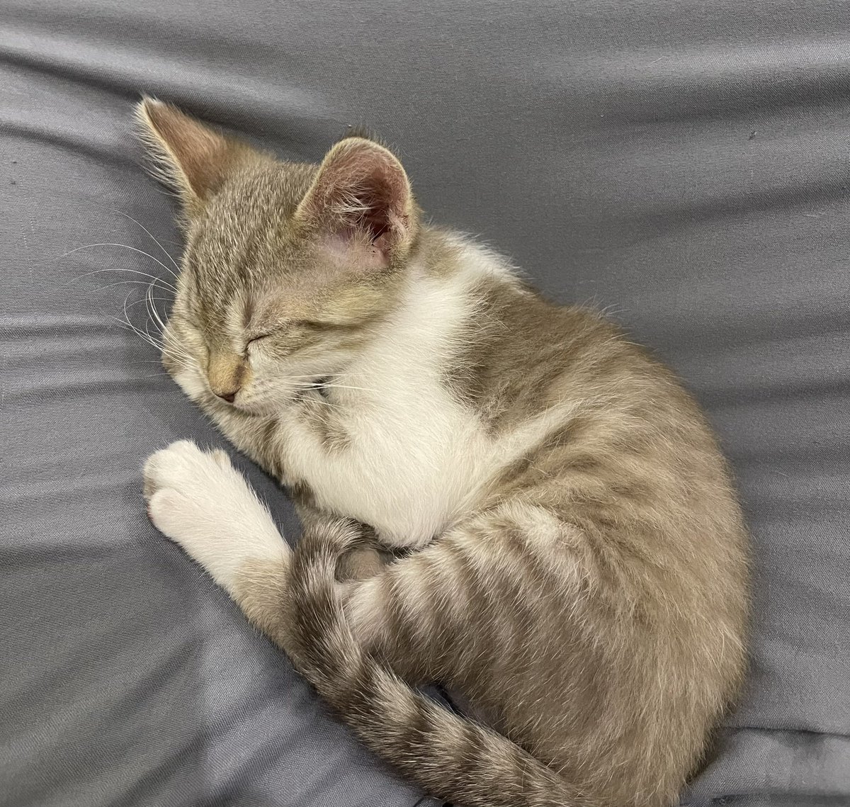 ما عندي مشكلة أجلس يومين في مكاني المهم ما أزعج هالملاك 😔
هالنومة جت بعد أحلى تريت 😂