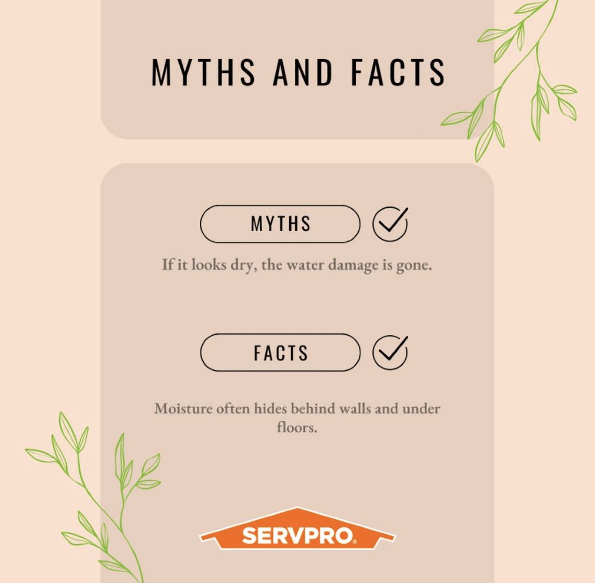 #themoreyouknow here's a fun fact &amp; myth! #ServproIrvine