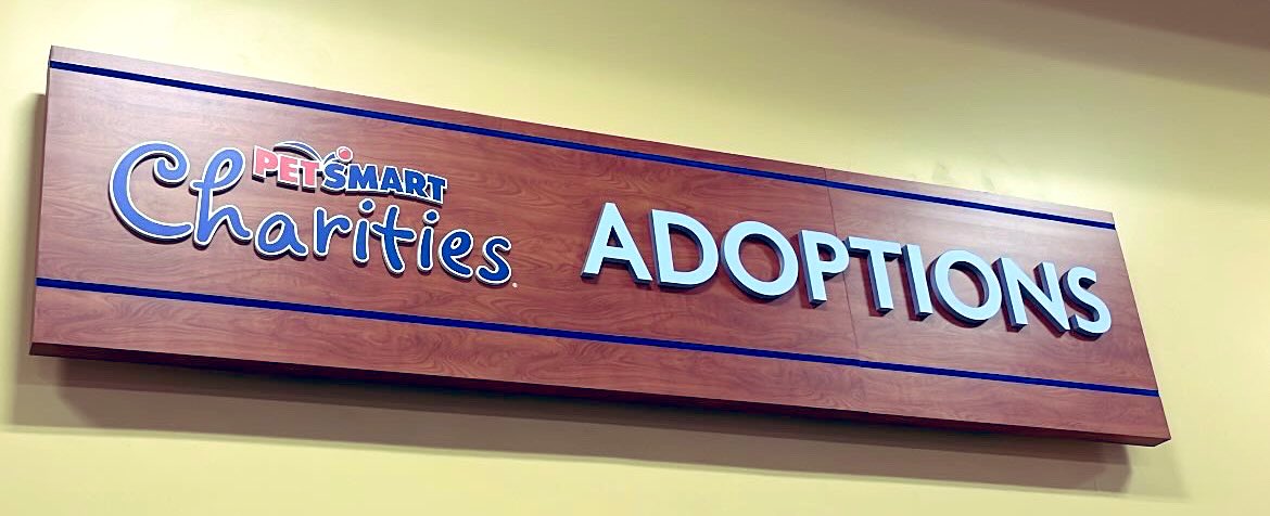 As an animal lover, please remember to adopt and not shop. 😊 Please, somebody stop me! 🤣🥹 #CatLover #AdoptDontShop