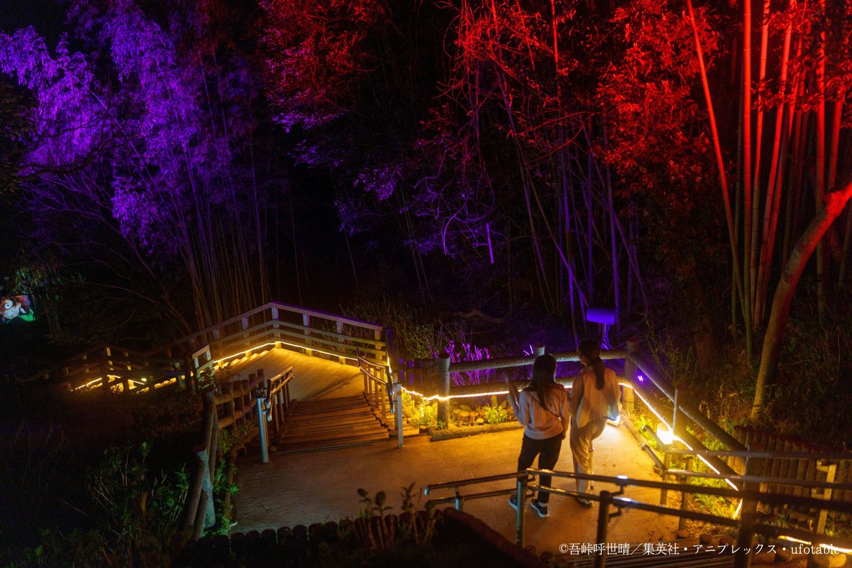 暑い夏もナイトウォークで涼しく🎐 夜まで楽しもう🌙 ＼ 日が暮れた夜
