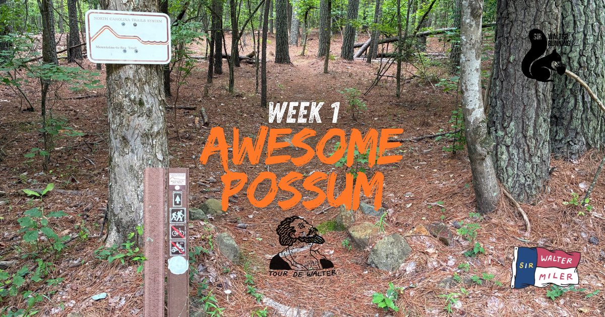 The Tour de Walter is back! sirwalterrunning.com/tdw-awesome-po…