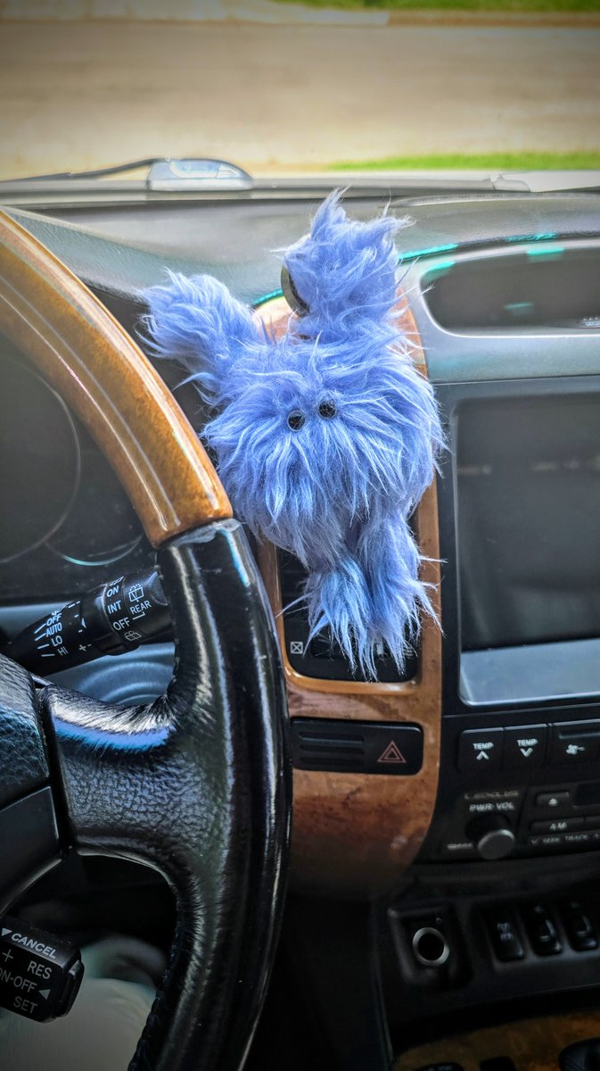 Copilot