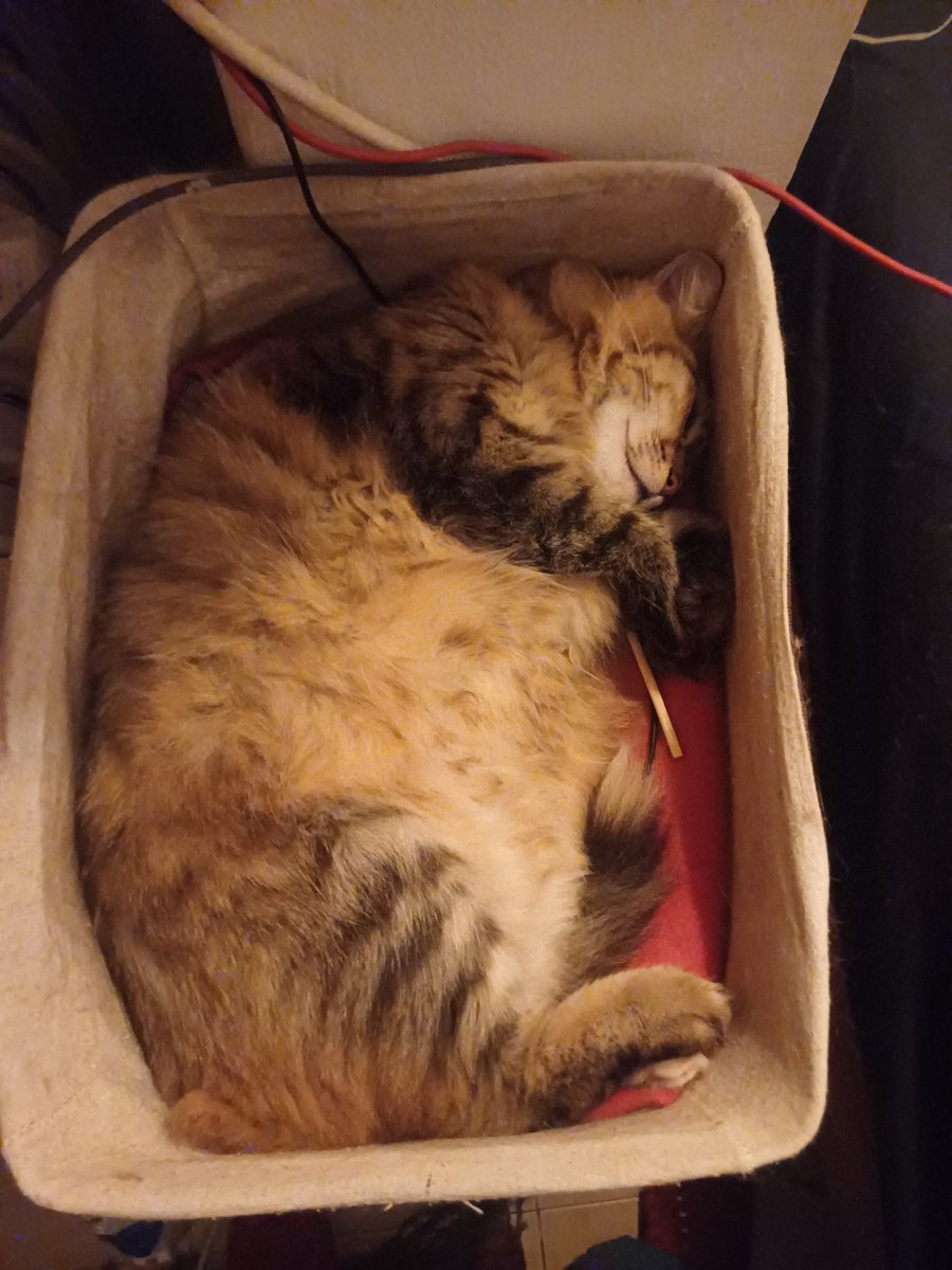 לויתן במרחב מוגן
(מרחבים על בטן, 2025)
#שלומציוץ
#להחמיד_את_הפיד