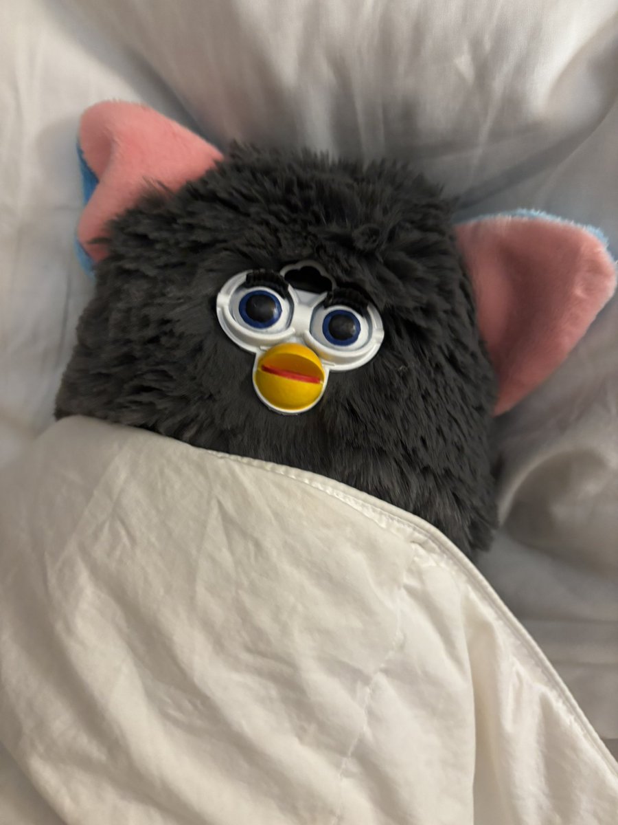 moosebernard's tweet image. I am a mother