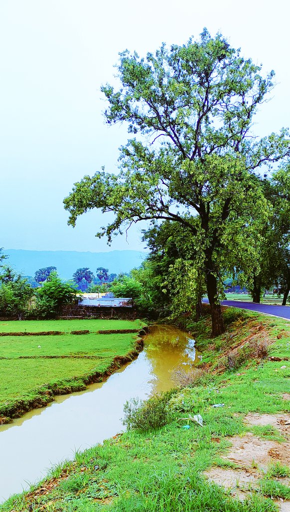 🌞 Good Morning 🌿

Peace is found where nature blooms, rivers flow gently, and the heart feels at ease.

May your day flow as calmly and beautifully as this little stream with clarity, grace, and serenity.

Have a refreshing Monday!