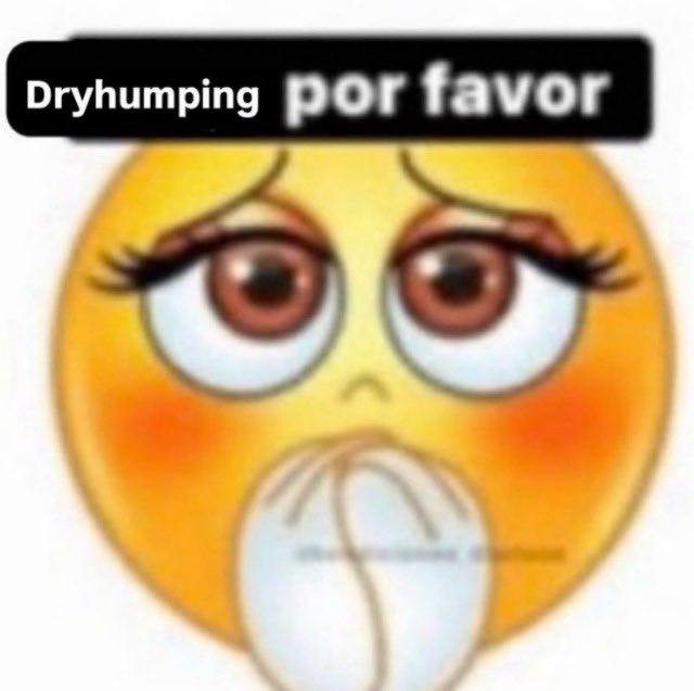 horse dentist (@equine__dentist) on Twitter photo 