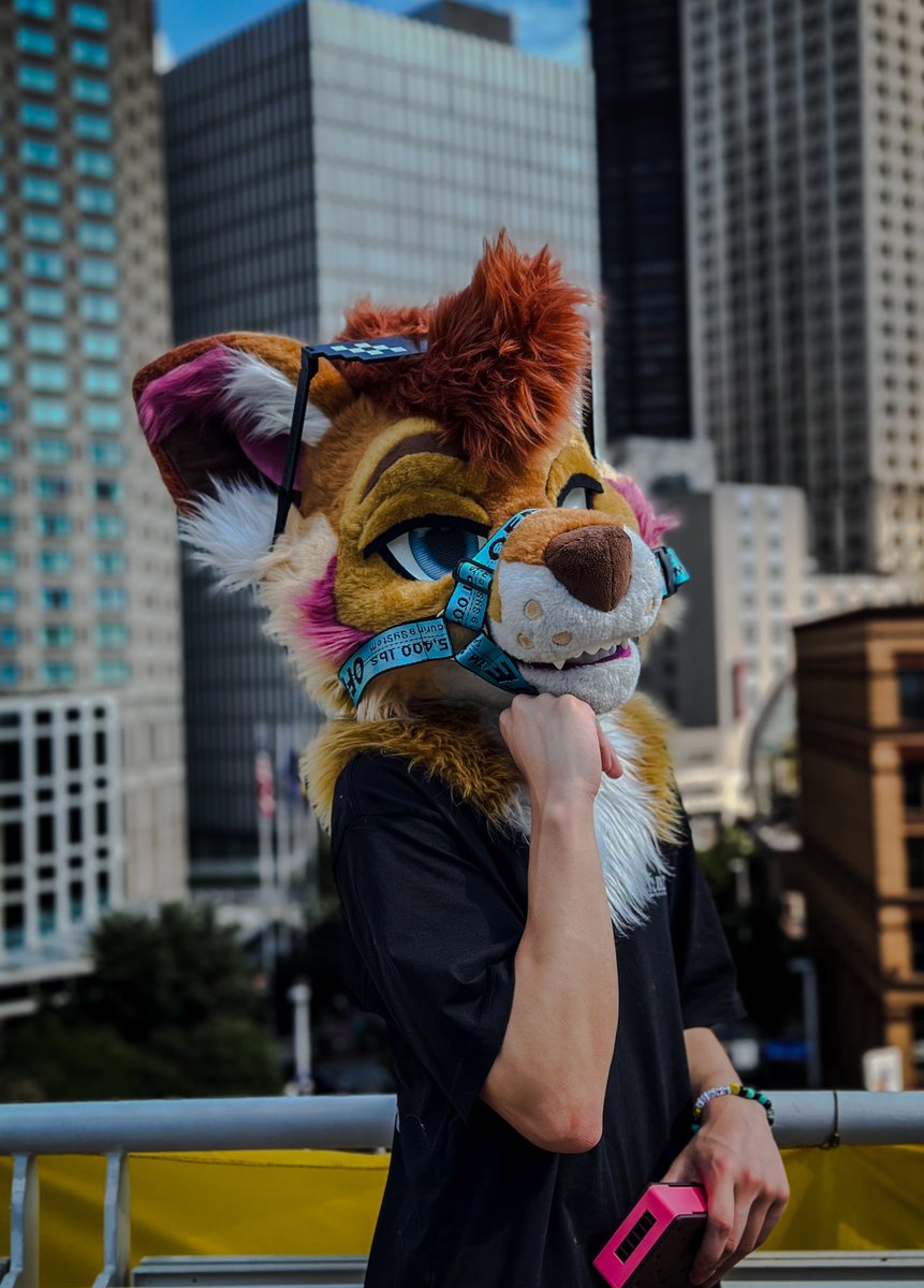 enjoying the view~? ✨

📸: <a href="/LeRitoOrange/">Champion Zane 🪶🔜 NYC Pride, AC, FD</a> 🧡