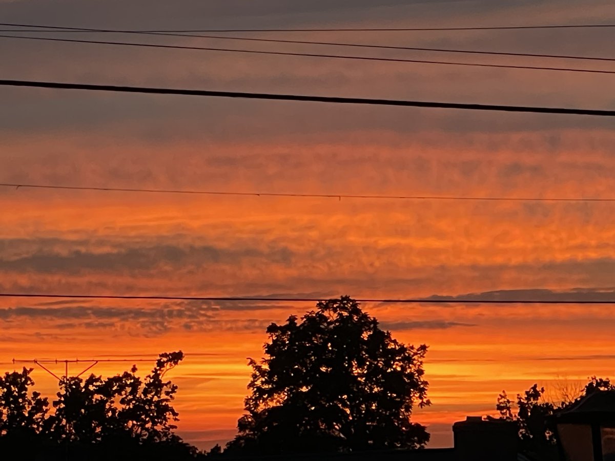 My favorite thing about #Virginia. This is our hurricane sky. Fireflies, threat of a storm in the wind…
Happy moment.