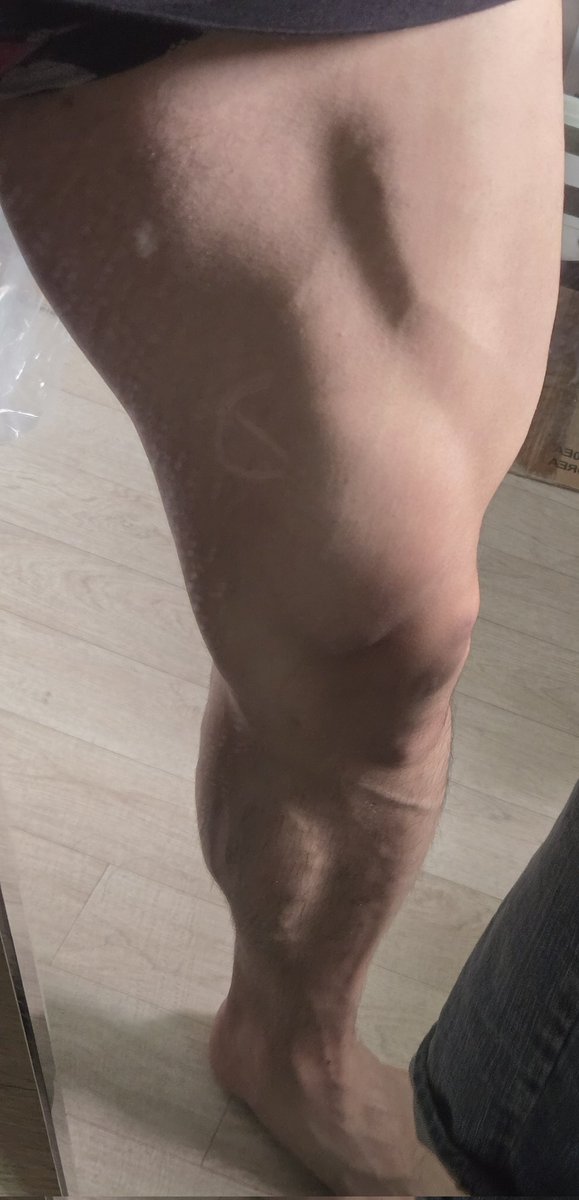 자지세워줘
쓸데없이 다리만 섬

#섹트 #오프 #디그더 #헌터