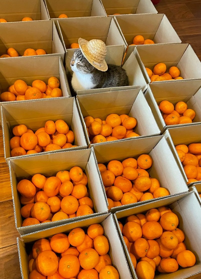 everything reminds me of him 😭😭