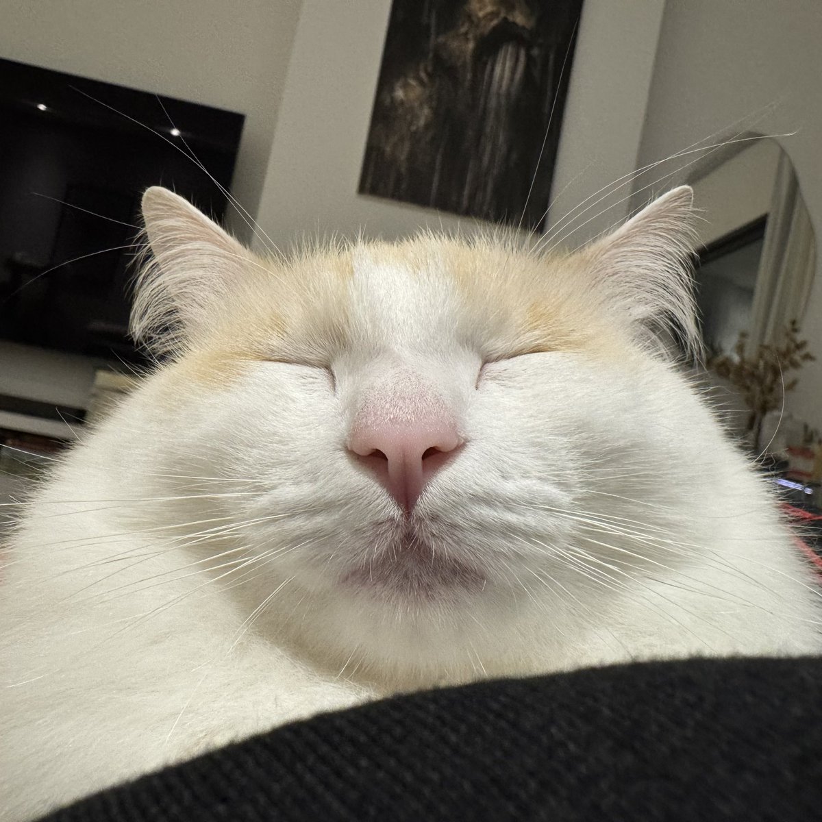 lore (@lorenaaorsi) on Twitter photo 