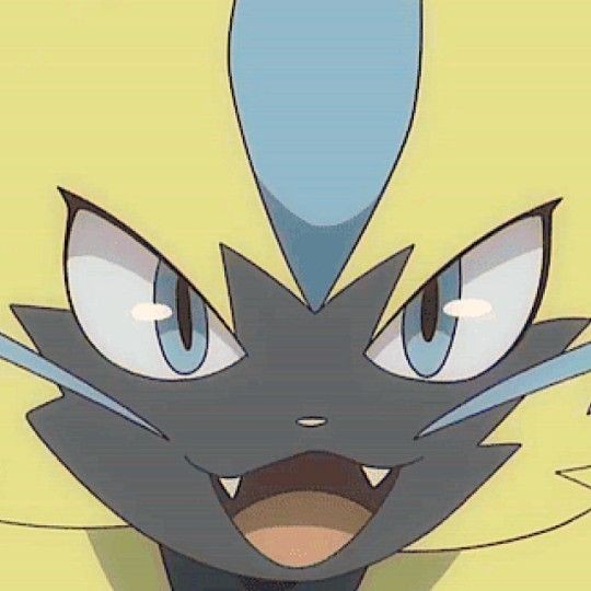 DailyZeraora's tweet image. He wants to say hi