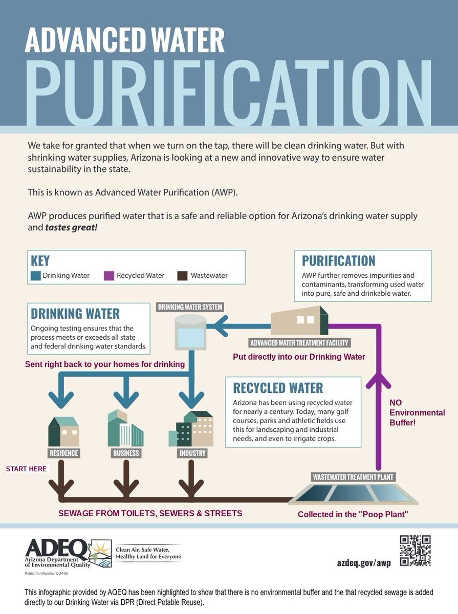 Donna Lynn tweet media