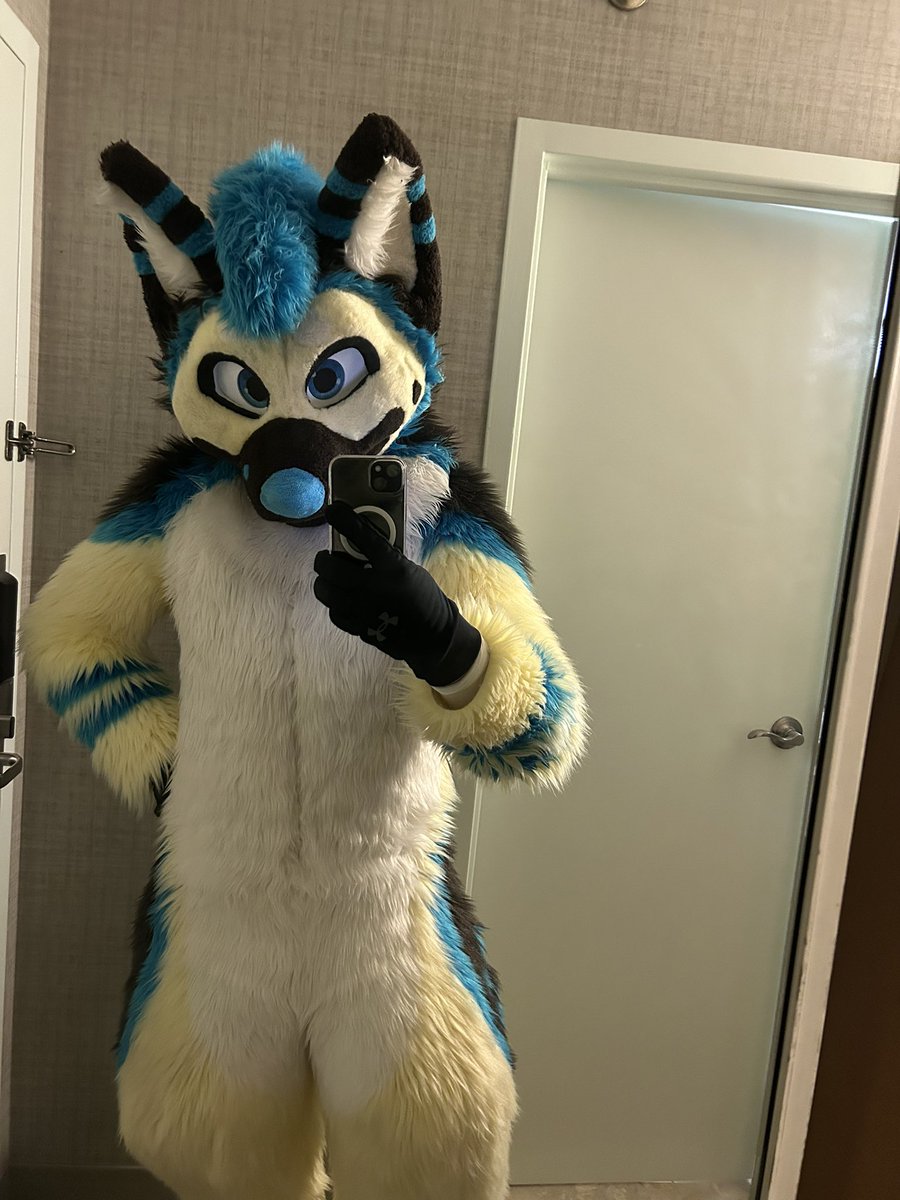 One last hurrah for AC, come find me