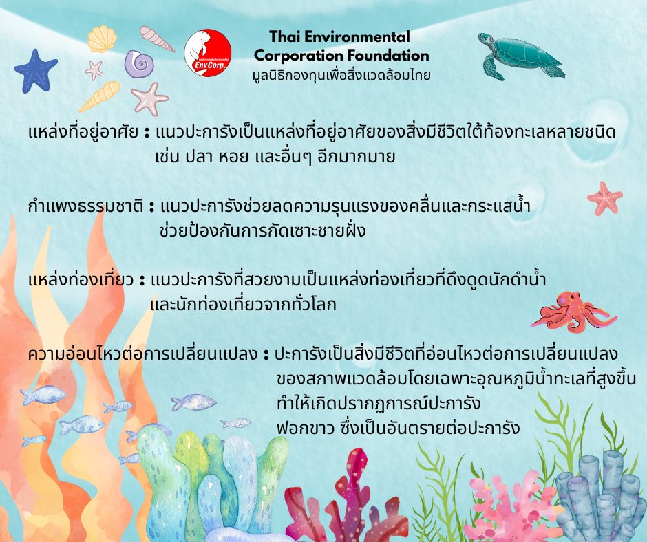 Envcorp_th's tweet image. ปะการังเป็นสัตว์ทะเลไม่มีกระดูกสันหลังที่อาศัยรวมกันเป็นกลุ่ม (โคโลนี) แต่ละกลุ่มประกอบด้วยตัวปะการังเล็กๆ จำนวนมากที่เรียกว่า โพลิป (polyp) ปะการังมีทั้งแบบแข็งและอ่อน
#ปะการัง #เกร็ดความรู้ #ธรรมชาติ #ทะเล