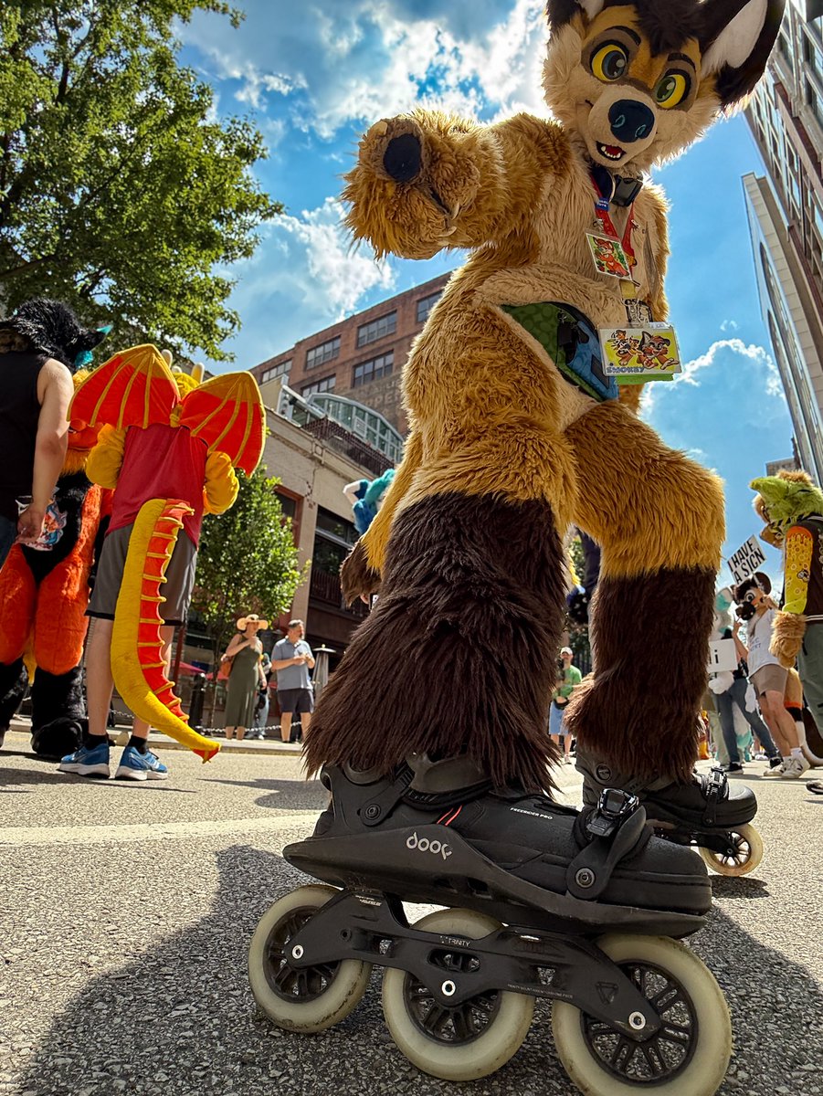 KoidelCoyote's tweet image. ✨ 🫵
📸 @holidaysoftfox