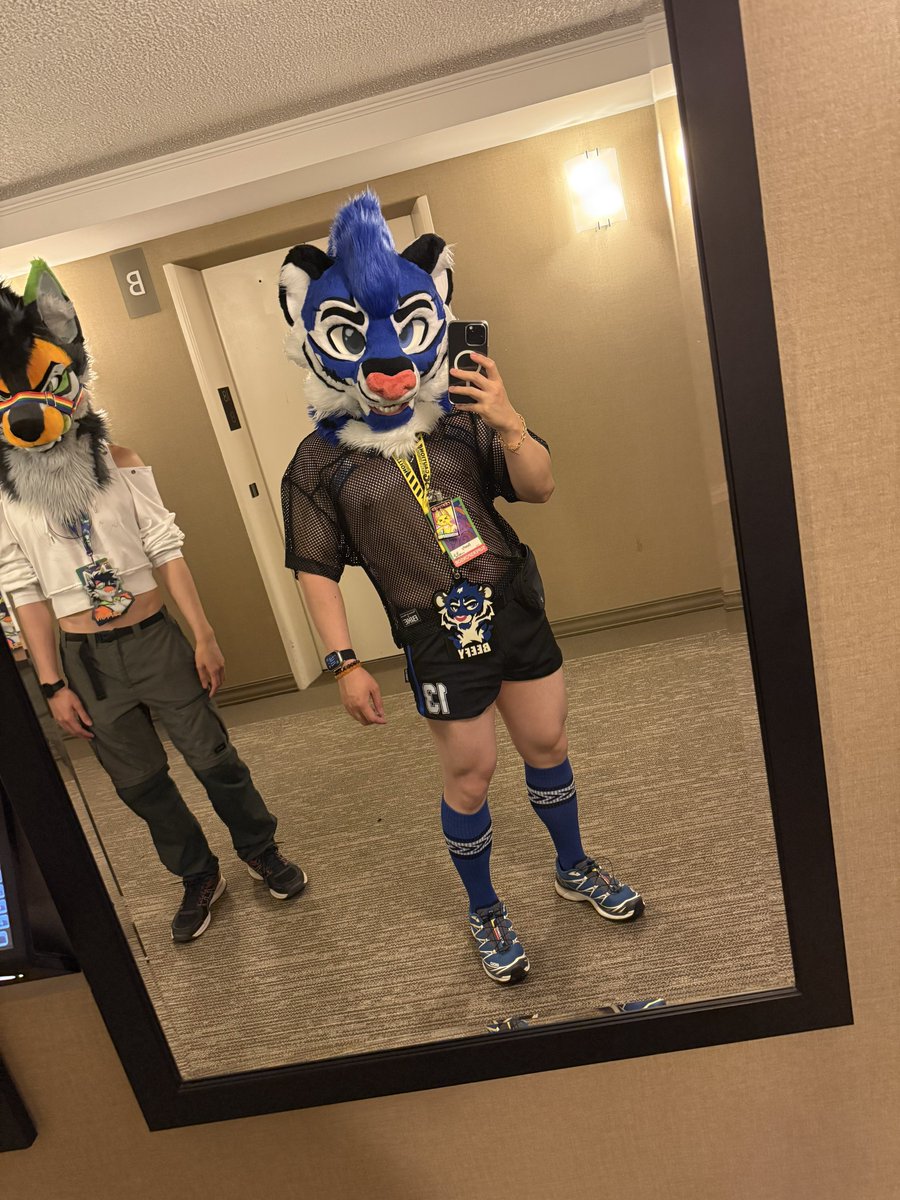 Circuit beef look is crazy