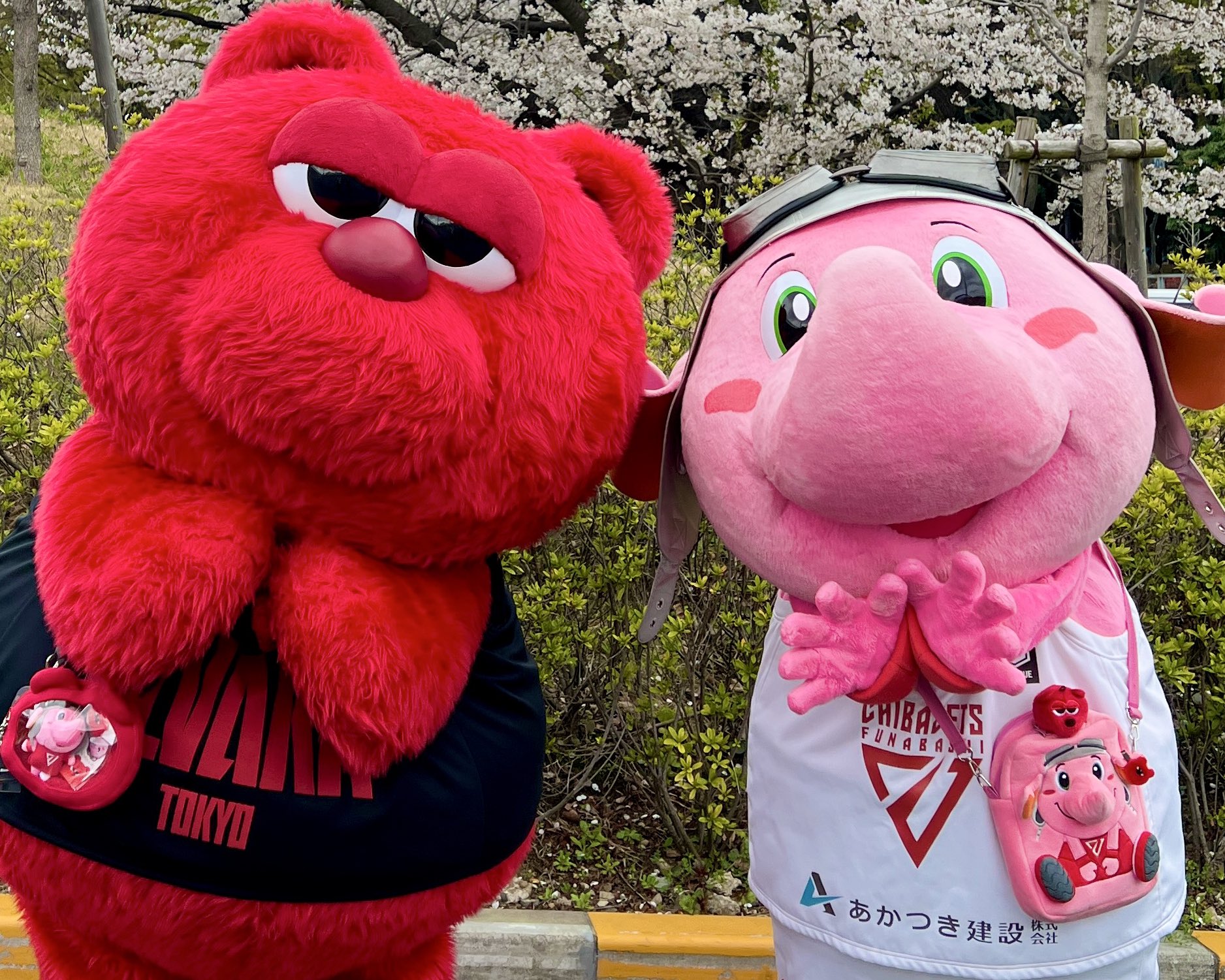 ジャンボくん（千葉ジェッツ） | #きみのとなり 🥰 NEWミニ