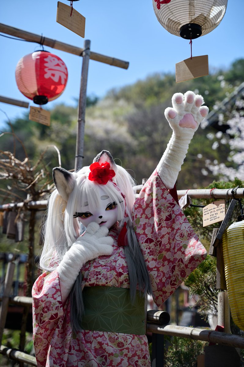 Wanna make a wish with Lily?✨
릴리랑 같이 소원 빌래?

#FursuitEveryday #니지모리 #kigurumi #kigfurry #kigfursuit
