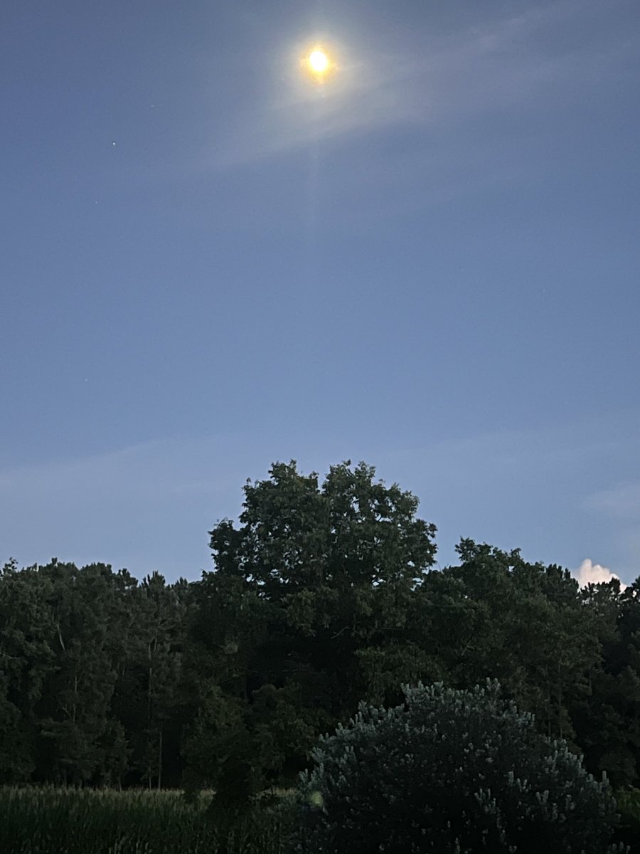 RKirbySC's tweet image. 2 Chronicals 7:14
During these times of constant conflict, distress, violence between neighbors, distrust and hate, I am reminded that there is a better way…
LOVE and RESPECT for our neighbors, our enemies and ourselves
PEACE