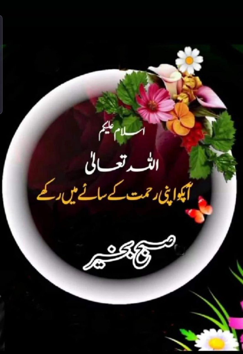 Dn. Ali Hayder 🇵🇸 (@alihayder7886) on Twitter photo Assalamualaikum
Good Morning 🌄
Retweet and follow
<a href="/AliHayder7886/">Dietitian Ali Hayder 🇵🇸</a>
<a href="/_Rai777/">MohsinRai</a>
<a href="/cricitwithrana/">Rana Sajjad</a>
<a href="/Odinarygirl00/">اقراء نیازی</a>
<a href="/AminChaudhry12/">Amin Chaudhry</a>
<a href="/Dr_Nisha786/">Dr Nisha khan</a>
<a href="/ItxEmaa/">Emma</a>
<a href="/Lostguy____/">𝐇𝐚𝐫𝐢s 🐦</a>
<a href="/Madiha90aslam/">Madiha Aslam</a>
<a href="/majorirfanakbar/">Irfan Akbar</a>
<a href="/merri_am7645/">Merri am</a>
@SairaKhatoon13
<a href="/SEHRISHF313/">🥀سہرش🥀</a>
<a href="/shahzadi_sial/">Hoorain🦋</a>
<a href="/soniyahassan256/">Soniya hassan</a> Assalamualaikum
Good Morning 🌄
Retweet and follow
<a href="/AliHayder7886/">Dietitian Ali Hayder 🇵🇸</a>
<a href="/_Rai777/">MohsinRai</a>
<a href="/cricitwithrana/">Rana Sajjad</a>
<a href="/Odinarygirl00/">اقراء نیازی</a>
<a href="/AminChaudhry12/">Amin Chaudhry</a>
<a href="/Dr_Nisha786/">Dr Nisha khan</a>
<a href="/ItxEmaa/">Emma</a>
<a href="/Lostguy____/">𝐇𝐚𝐫𝐢s 🐦</a>
<a href="/Madiha90aslam/">Madiha Aslam</a>
<a href="/majorirfanakbar/">Irfan Akbar</a>
<a href="/merri_am7645/">Merri am</a>
@SairaKhatoon13
<a href="/SEHRISHF313/">🥀سہرش🥀</a>
<a href="/shahzadi_sial/">Hoorain🦋</a>
<a href="/soniyahassan256/">Soniya hassan</a>
