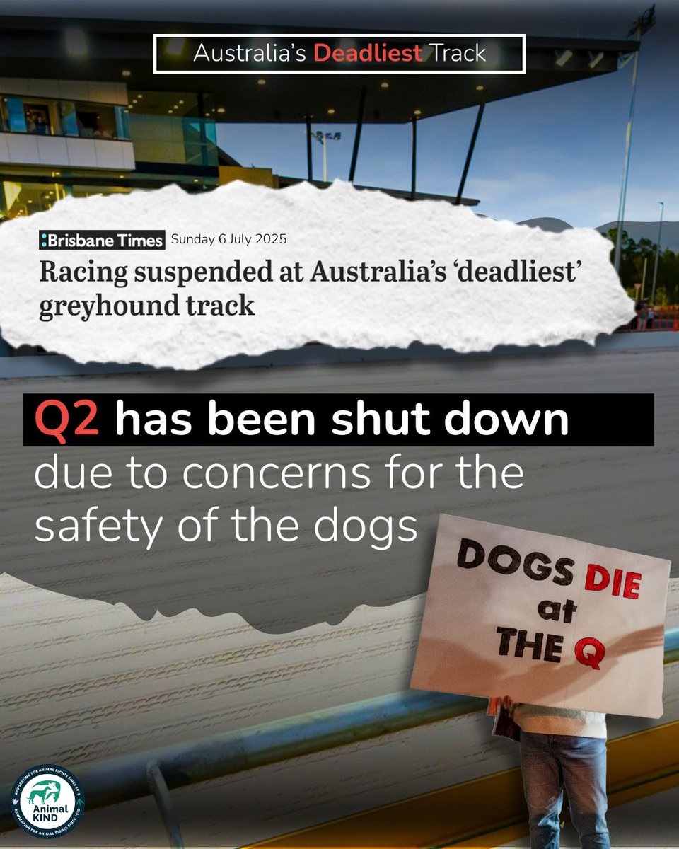 animalkind_aus's tweet image. 🚨 BREAKING 🚨 Racing QLD has suspended racing at the Q2 track at The Q over safety concerns—but too late for the 11 greyhounds already killed at The Q venue. This track must not reopen

✊ It’s time to shut down The Q for good.

👉 animalkind.org.au/2025/06/26/cal…