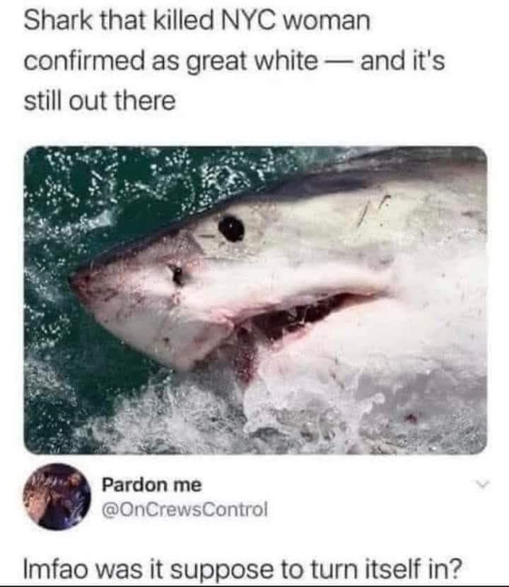 I almost spit my drink out 😂