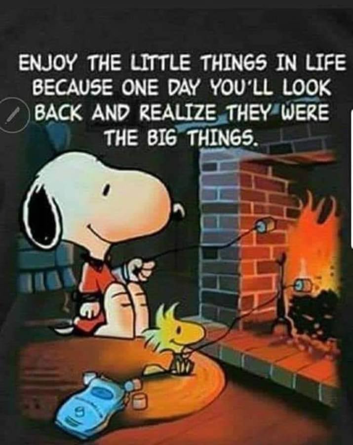RandallCMCV (@randallcmcv) on Twitter photo Please forward and follow these Awesome friends 👍
<a href="/StarxFire/">⭐️🔥star⭐️🔥</a> <a href="/CoopandKCmom/">Liz Roberts</a> <a href="/samiam5_/">Serenitee♡Sam</a> <a href="/StevenWate91203/">Tesla Dude</a> <a href="/MarkEvansSongs/">Mark Evans</a> <a href="/FabianaFPeres/">🇧🇷Fabi Peres Patriot 🇧🇷</a> <a href="/laura_7771/">🕊️ 💎𝐿𝒶𝓊𝓇𝒶 💎✨God is awesome all the time🙏</a> <a href="/thedarkdetails1/">The Dark Details</a> <a href="/haroldbarn30589/">harold barnett</a> <a href="/BeeAwake1/">Bee 🐝🌿</a> <a href="/TheFloridaMike/">Florida Mike: VanceRubio2028</a> <a href="/grindelKadse/">🇩🇪💙grindelKadse❤️🇺🇸</a> <a href="/thejoker4624/">Rebs Fan and Reagan Conservative</a> <a href="/MLimpact0804/">Maureen Lopez</a> <a href="/V13lula/">Karen Lúcia♀️🚩🌵</a> <a href="/2Y_Leah/">🌸𝑱𝒂𝒛𝒎𝒊𝒏𝒆𝒔🕊</a> <a href="/Faithmokua4/">Fay🇰🇪🇺🇸</a> Please forward and follow these Awesome friends 👍
<a href="/StarxFire/">⭐️🔥star⭐️🔥</a> <a href="/CoopandKCmom/">Liz Roberts</a> <a href="/samiam5_/">Serenitee♡Sam</a> <a href="/StevenWate91203/">Tesla Dude</a> <a href="/MarkEvansSongs/">Mark Evans</a> <a href="/FabianaFPeres/">🇧🇷Fabi Peres Patriot 🇧🇷</a> <a href="/laura_7771/">🕊️ 💎𝐿𝒶𝓊𝓇𝒶 💎✨God is awesome all the time🙏</a> <a href="/thedarkdetails1/">The Dark Details</a> <a href="/haroldbarn30589/">harold barnett</a> <a href="/BeeAwake1/">Bee 🐝🌿</a> <a href="/TheFloridaMike/">Florida Mike: VanceRubio2028</a> <a href="/grindelKadse/">🇩🇪💙grindelKadse❤️🇺🇸</a> <a href="/thejoker4624/">Rebs Fan and Reagan Conservative</a> <a href="/MLimpact0804/">Maureen Lopez</a> <a href="/V13lula/">Karen Lúcia♀️🚩🌵</a> <a href="/2Y_Leah/">🌸𝑱𝒂𝒛𝒎𝒊𝒏𝒆𝒔🕊</a> <a href="/Faithmokua4/">Fay🇰🇪🇺🇸</a>