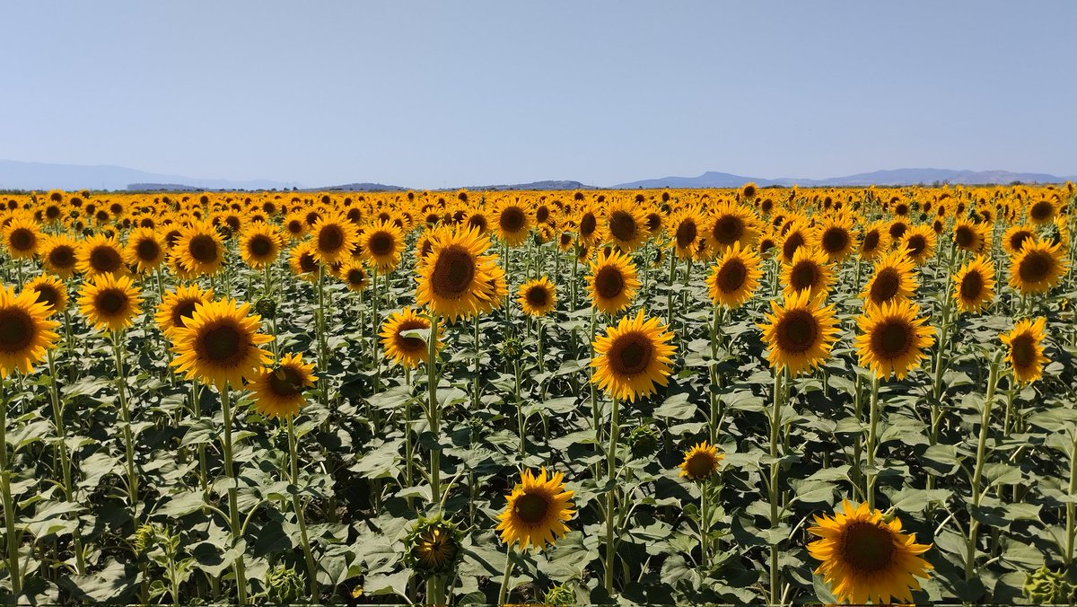 🇹🇷🇹🇷<a href="/MineSahraa/">MİNE KONAN 1976❤️35</a> 🇹🇷🇹🇷👍☕🌻📸