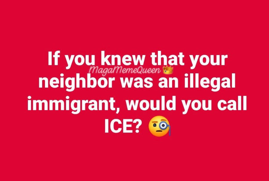 Anti Left Memes tweet media